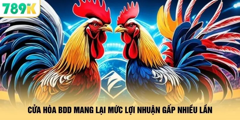 Cửa hòa BDD mang lại mức lợi nhuận gấp nhiều lần