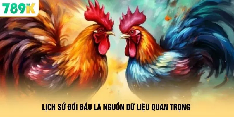 Lịch sử đối đầu là nguồn dữ liệu quan trọng 